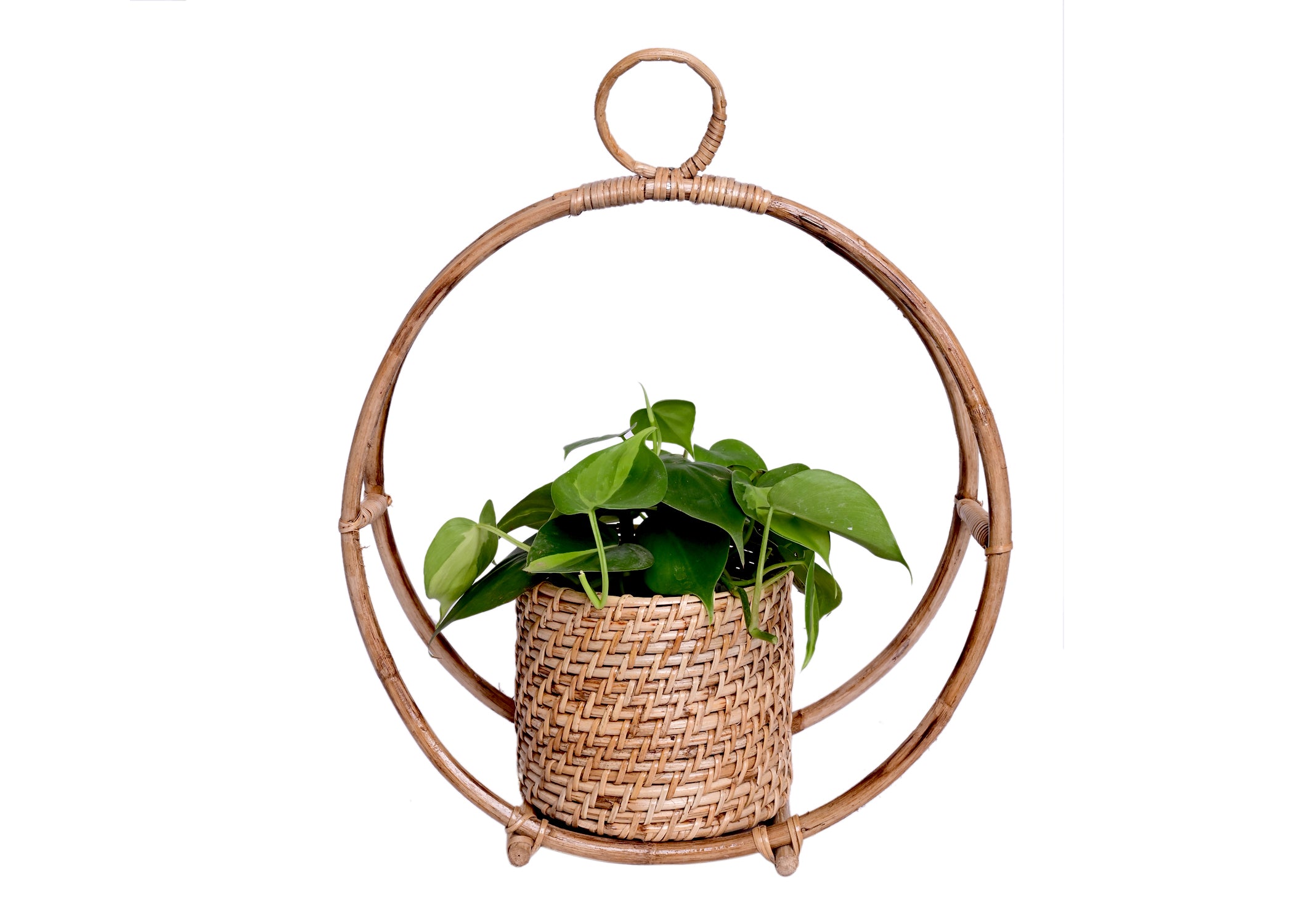 Circular Ring Design Handmade Natural Cane Pot - myBageecha