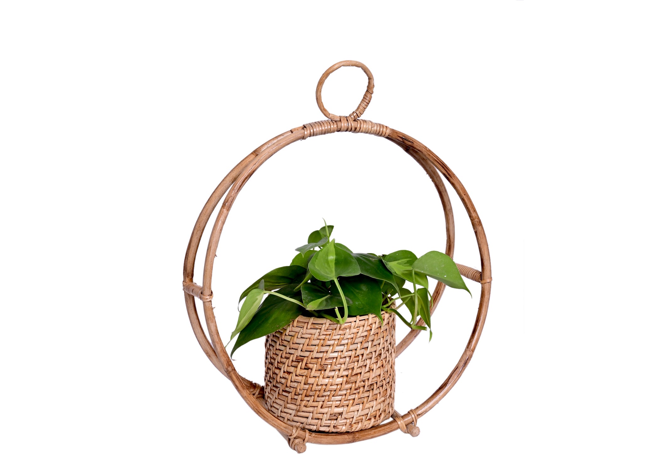 Circular Ring Design Handmade Natural Cane Pot - myBageecha