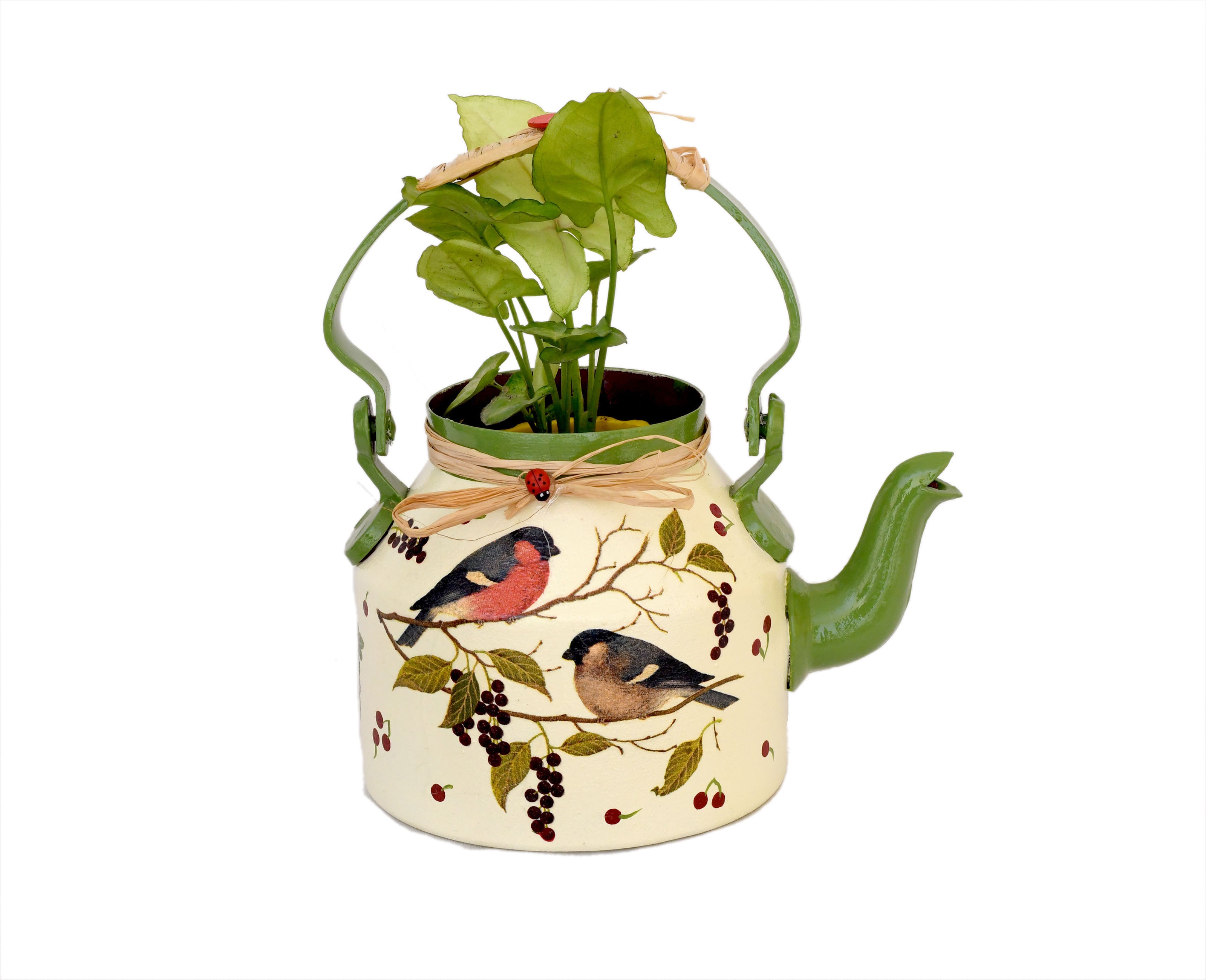 Beautifully Hand Crafted Kettle Planter - myBageecha