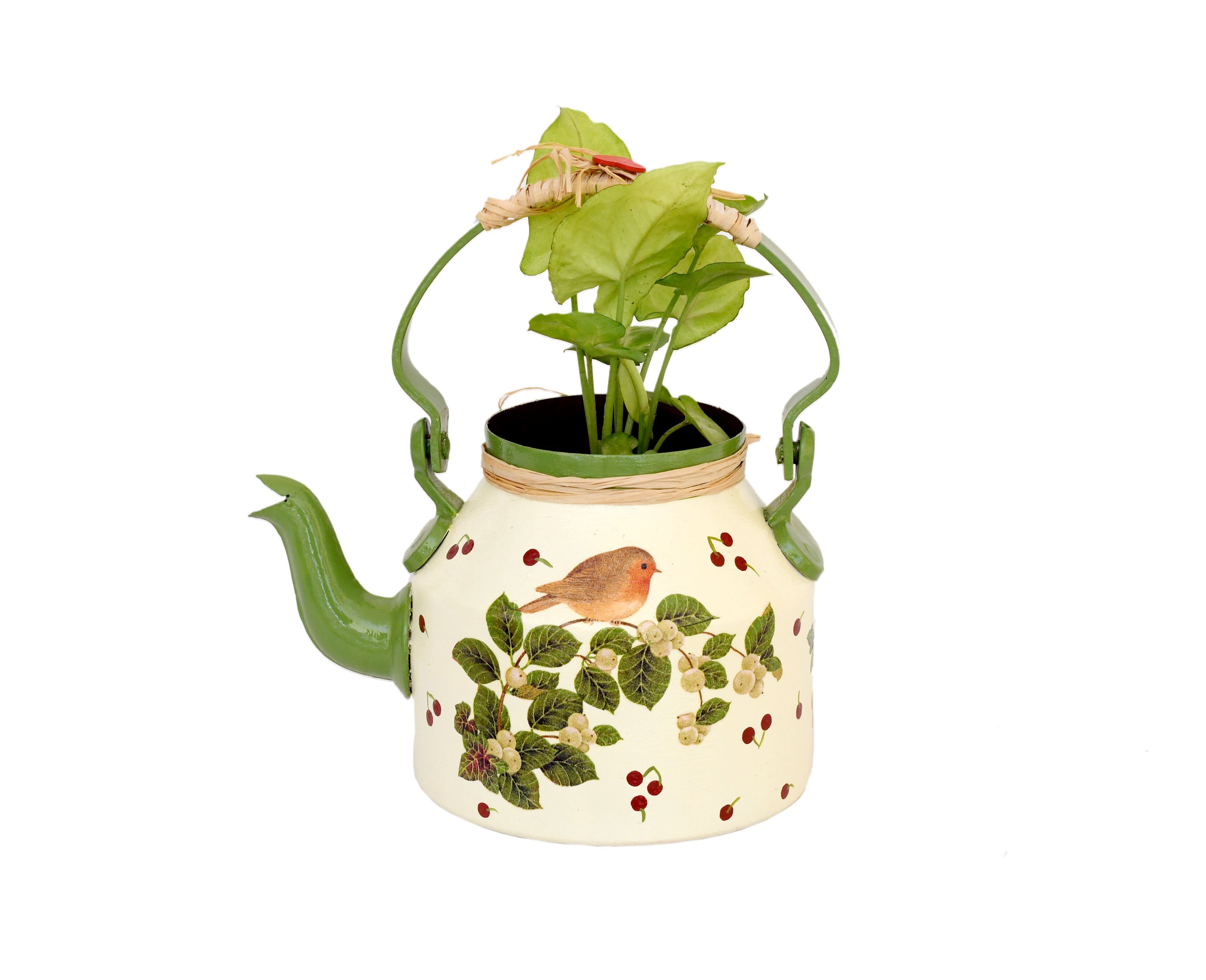 Beautifully Hand Crafted Kettle Planter - myBageecha