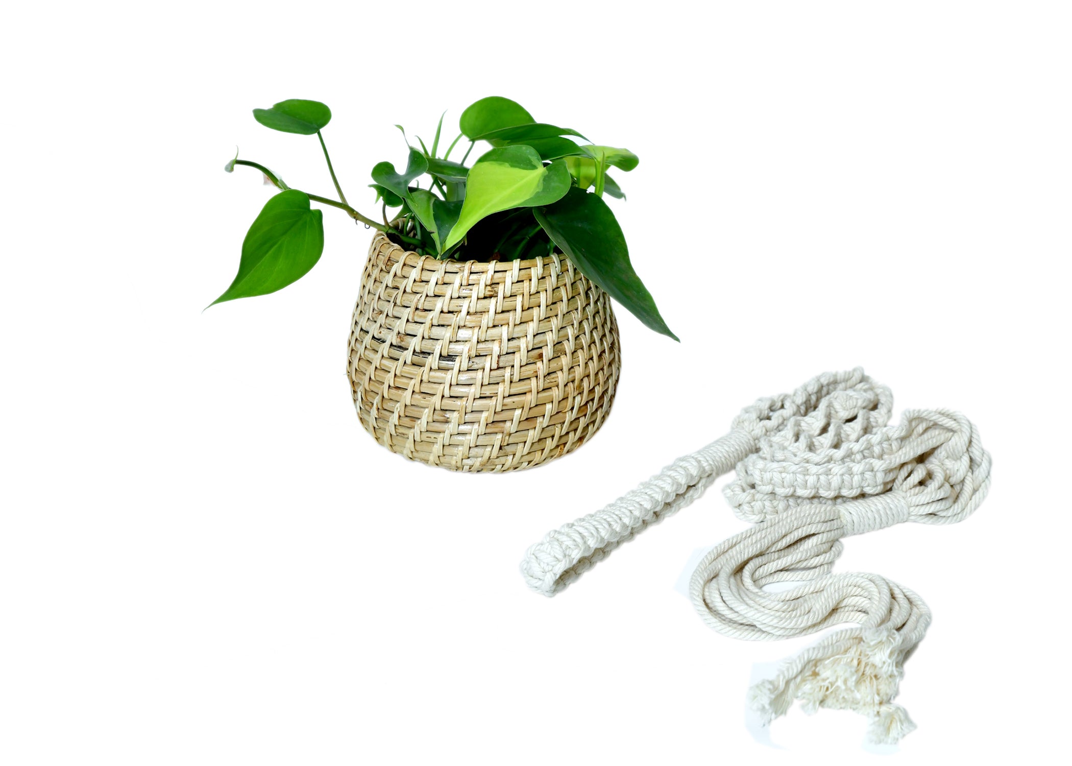 Natural Cane Handmade Planter with Macramé for Hanging - myBageecha