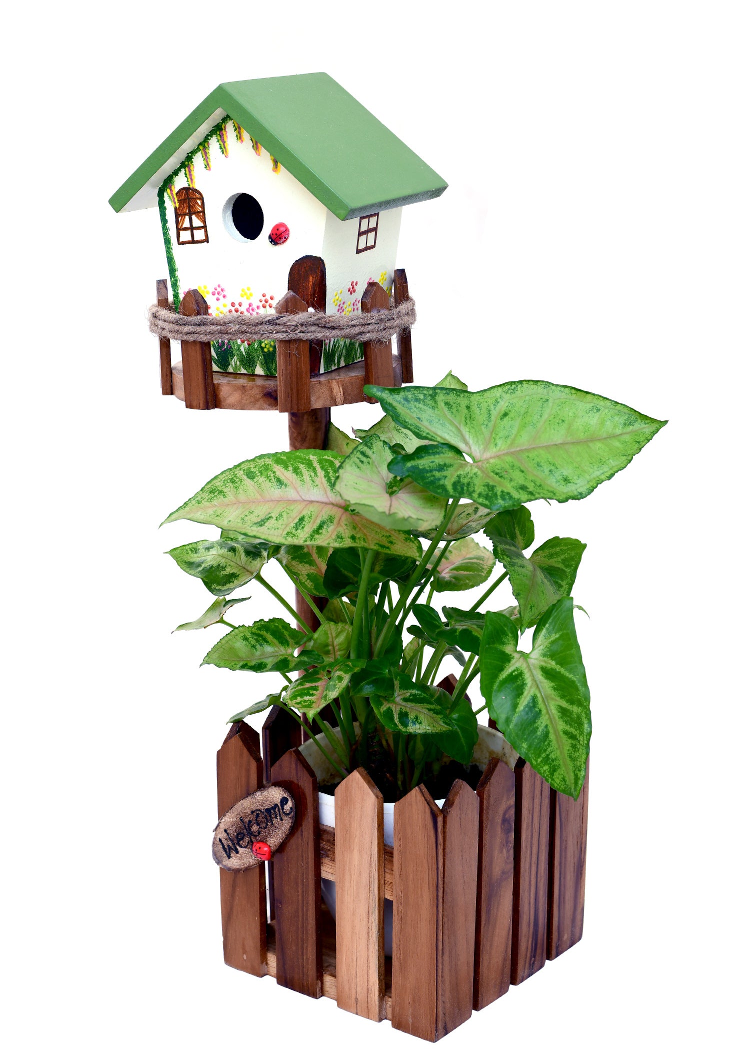 Birdhouse Planter Handcrafted Wooden Pot - myBageecha