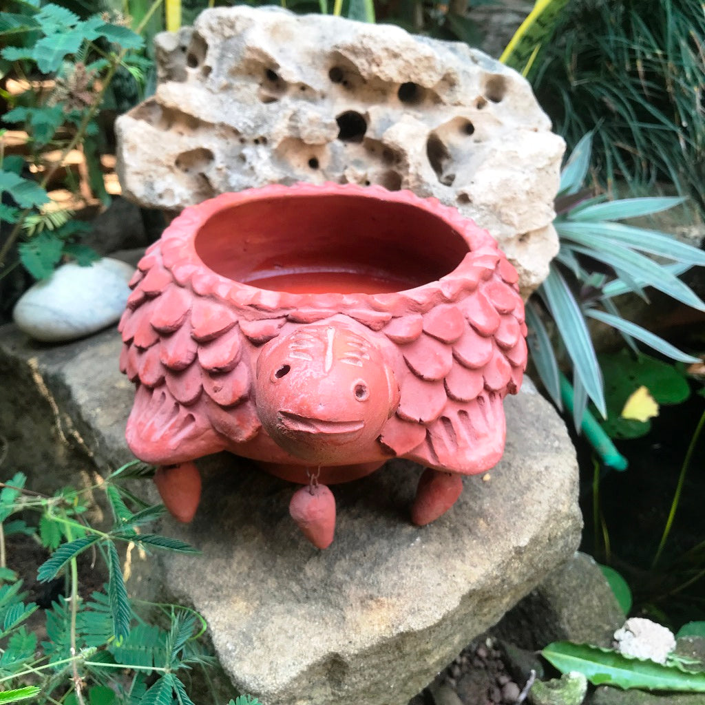 Front view of Small Tortoise Planter
