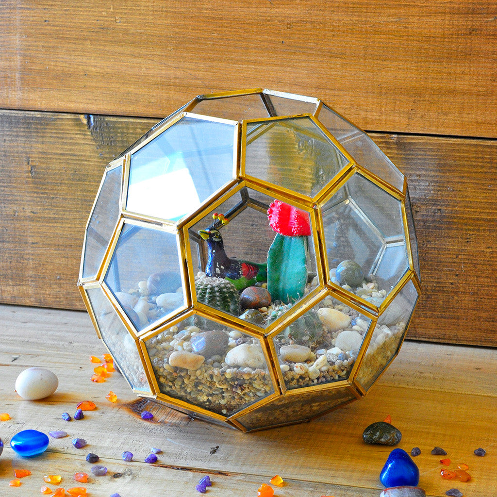 Thar Wanderlust Miniature Garden Terrarium Kit, from myBageecha