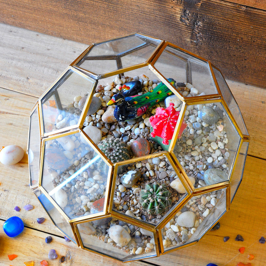 Thar Wanderlust terrarium top view miniature garden - myBageecha