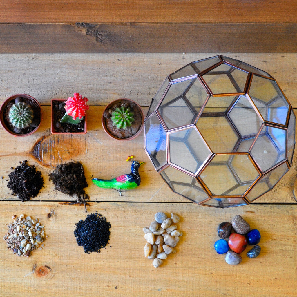 Thar Wanderlust terrarium side view soil & moss - myBageecha