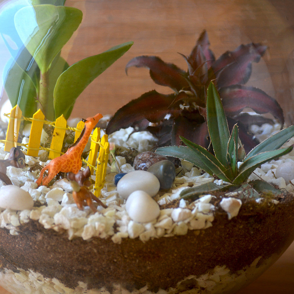 Arctic Forest terrarium top view miniature garden - myBageecha