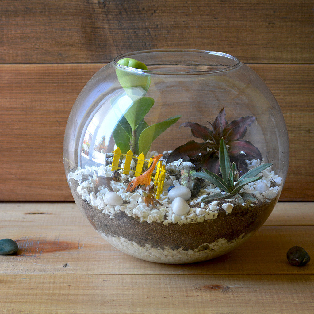 Arctic Forest terrarium side view soil & moss - myBageecha