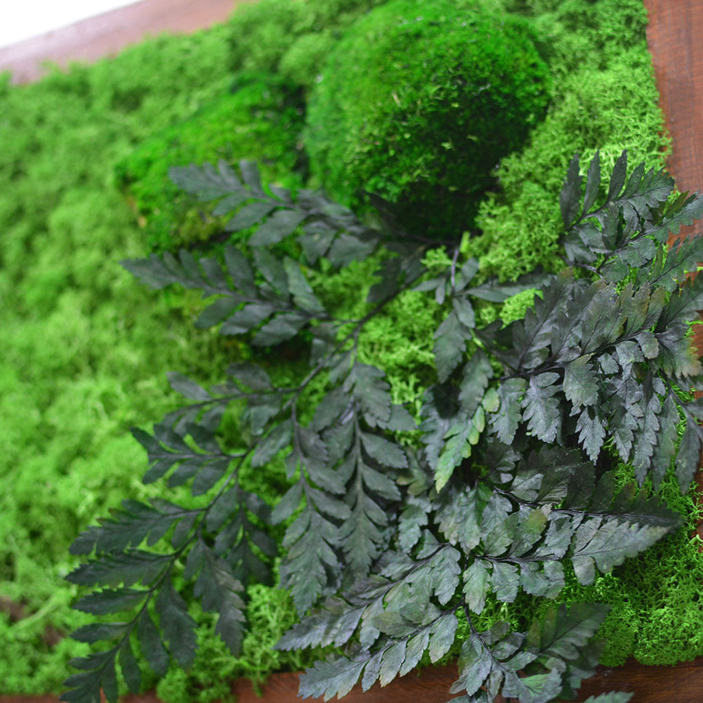 Forest wilderness décor handcrafted with nature by myBageecha