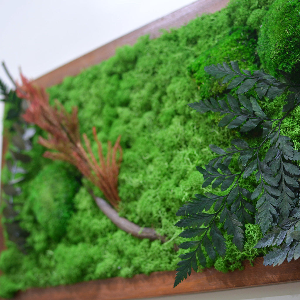 Wild nature-inspired moss wall art in dark wood