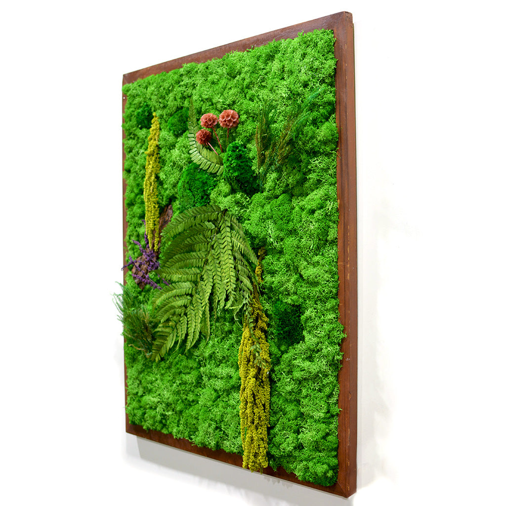 Lush greenery in dark wood frame – natural décor