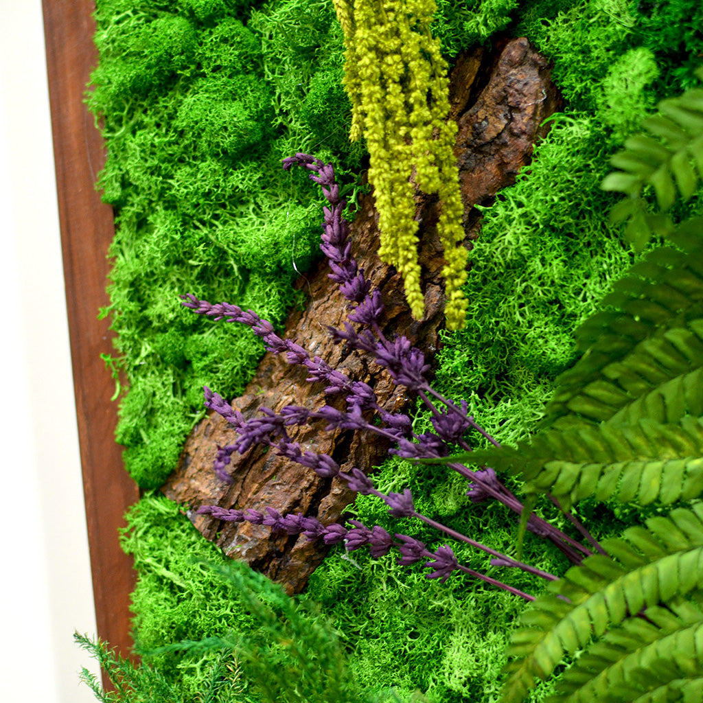 Enchanted Wildwoods preserved moss for nature lovers