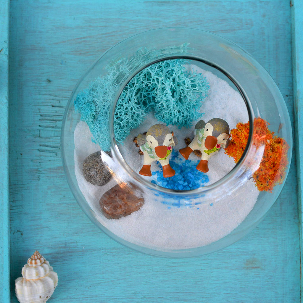 The Fishy Penguins Fairy Garden Kit - myBageecha