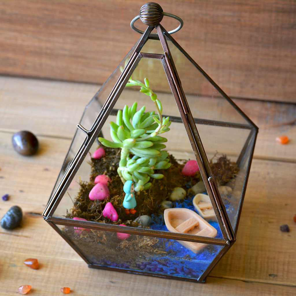 The Jamaican Farewell Terrarium Kit Decor myBageecha - myBageecha
