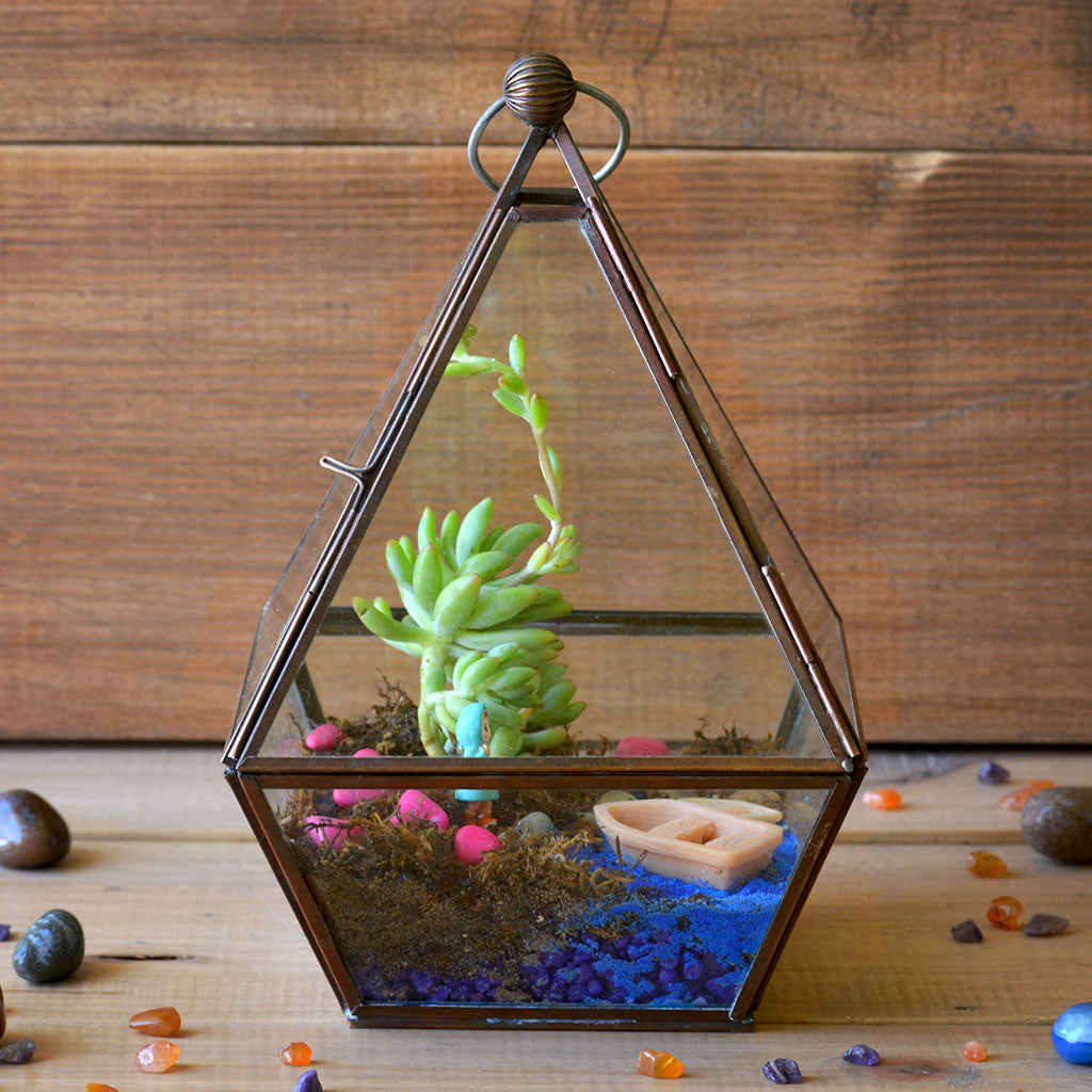 The Jamaican Farewell Terrarium Kit Decor myBageecha - myBageecha
