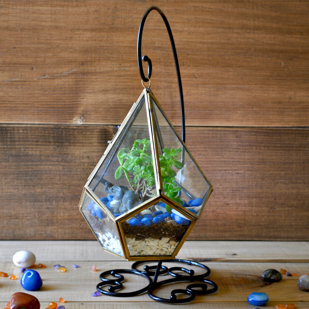 The Jungle Blues Miniature Garden Terrarium Kit, from myBageecha