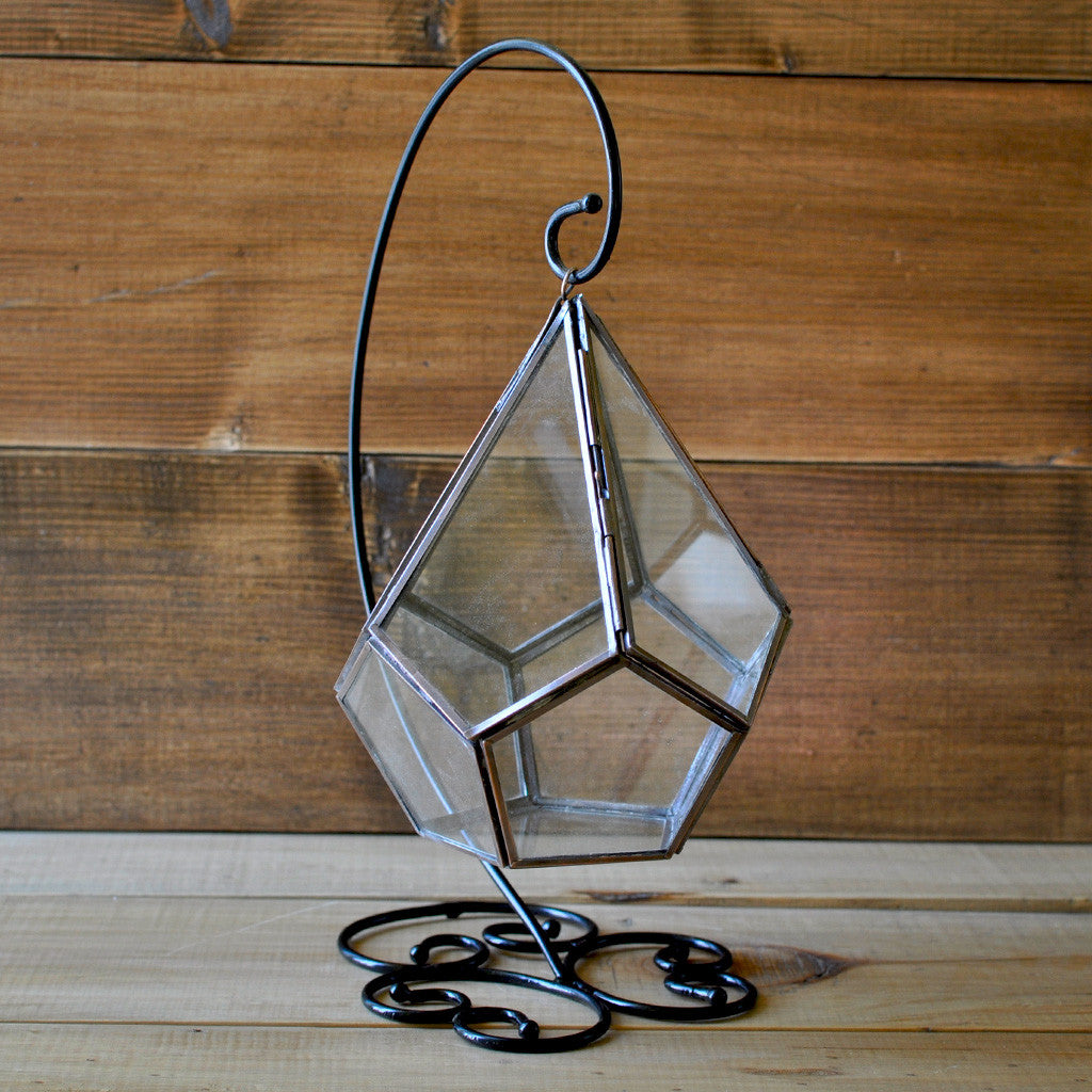 The Jungle Blues terrarium side view soil & moss - myBageecha