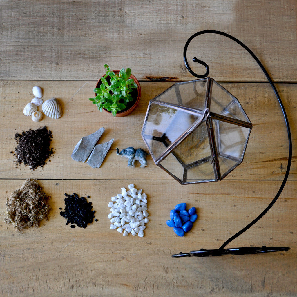 The Jungle Blues terrarium close‑up of miniatures - myBageecha