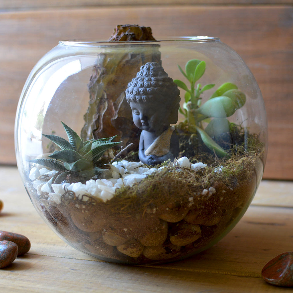 The Pondering Buddha Terrarium Kit - myBageecha
