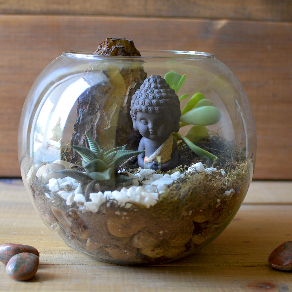 The Pondering Buddha Terrarium Kit - myBageecha