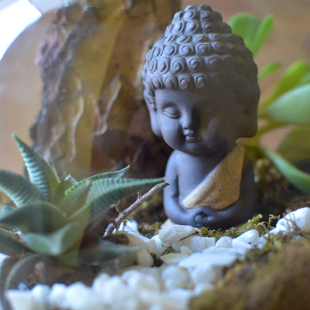 The Pondering Buddha Terrarium Kit - myBageecha