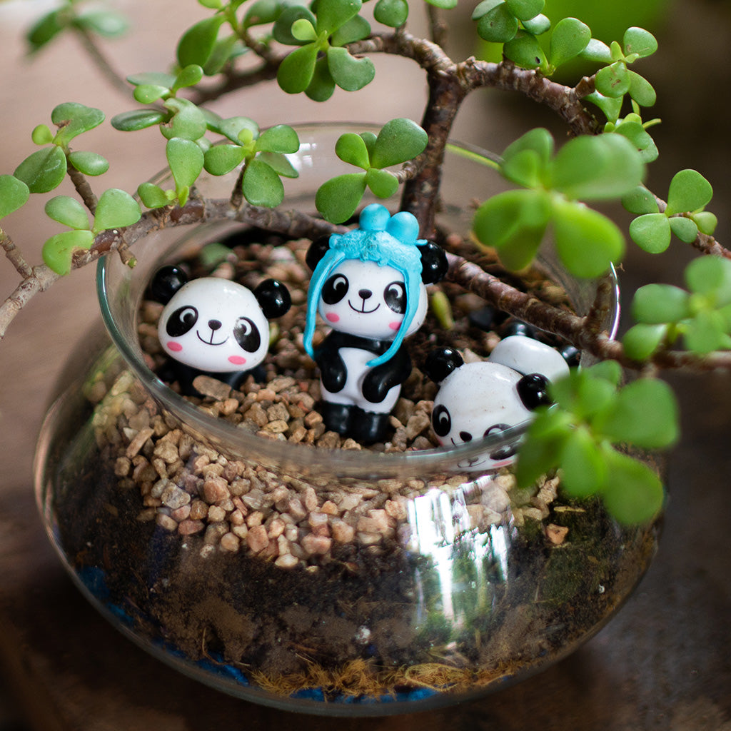 Three Jaded Pandas terrarium top view miniature garden - myBageecha