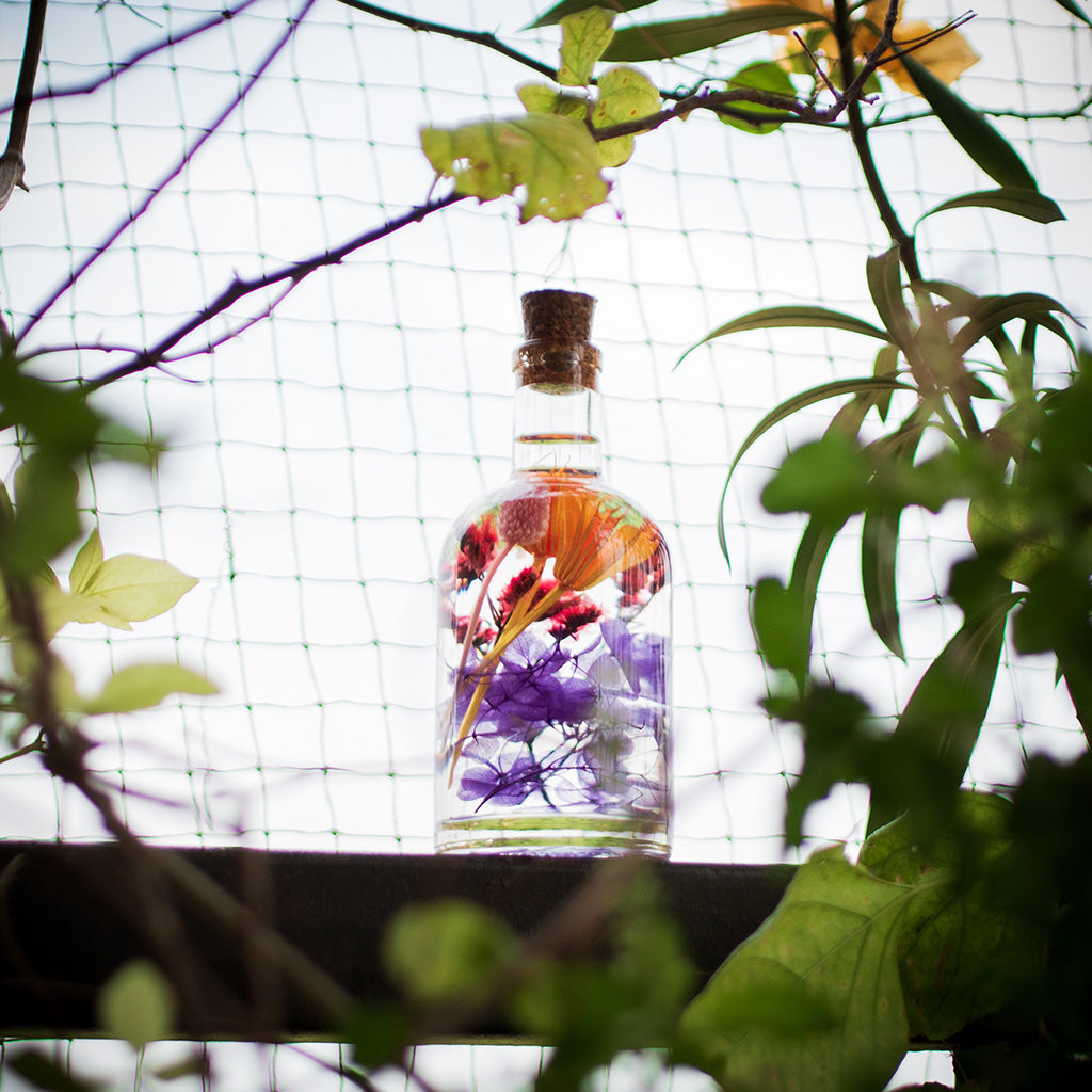 A bright, expressive mix of preserved colors bringing playful vibrance into any space.