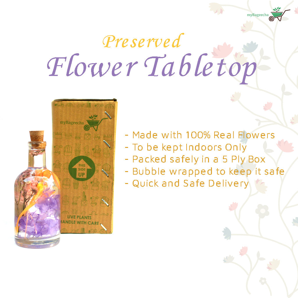 Tumultuous Tints Preserved Flower Tabletop - myBageecha