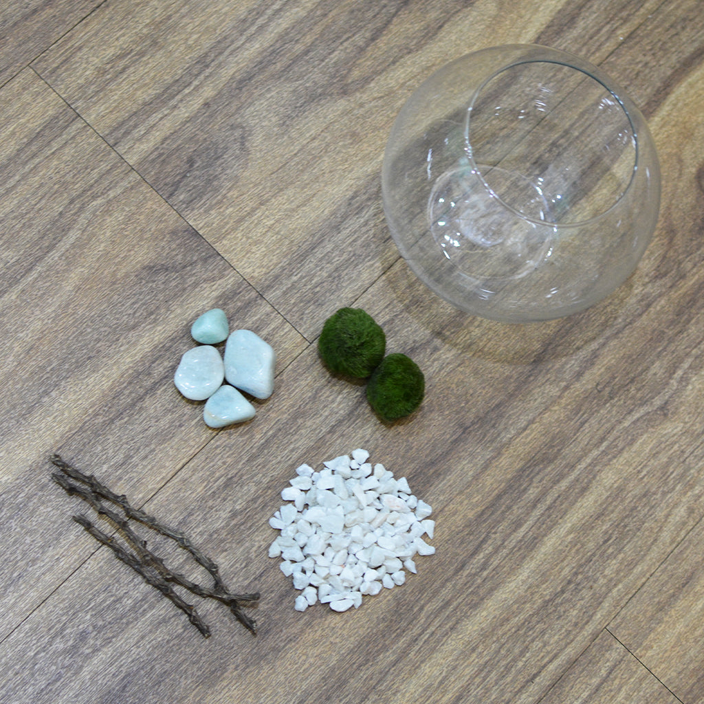 Lush Globule terrarium side view moss ball - myBageecha