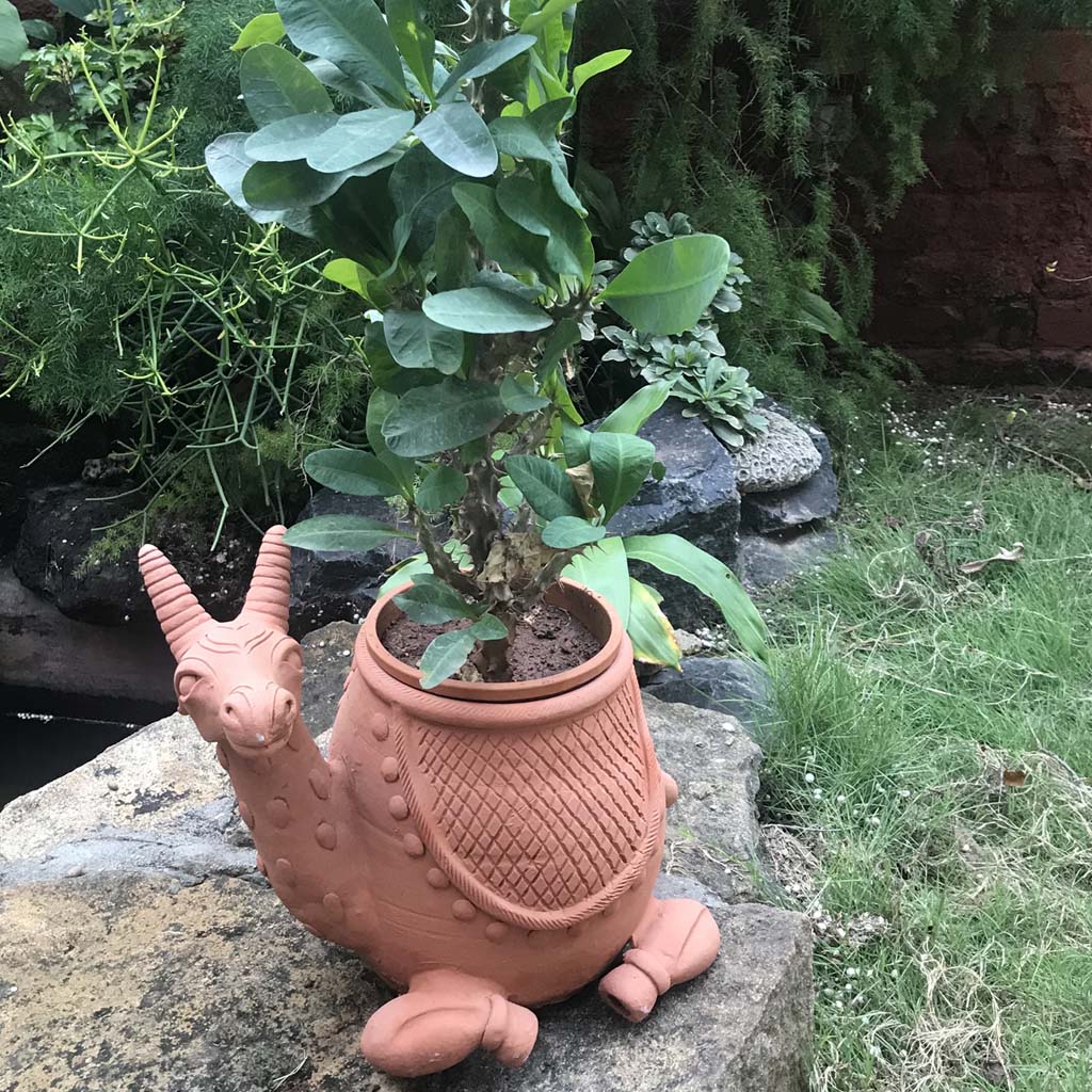 Side view of Deer Terracotta Pot