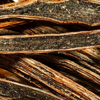 Vanilla Orchid Plant - myBageecha