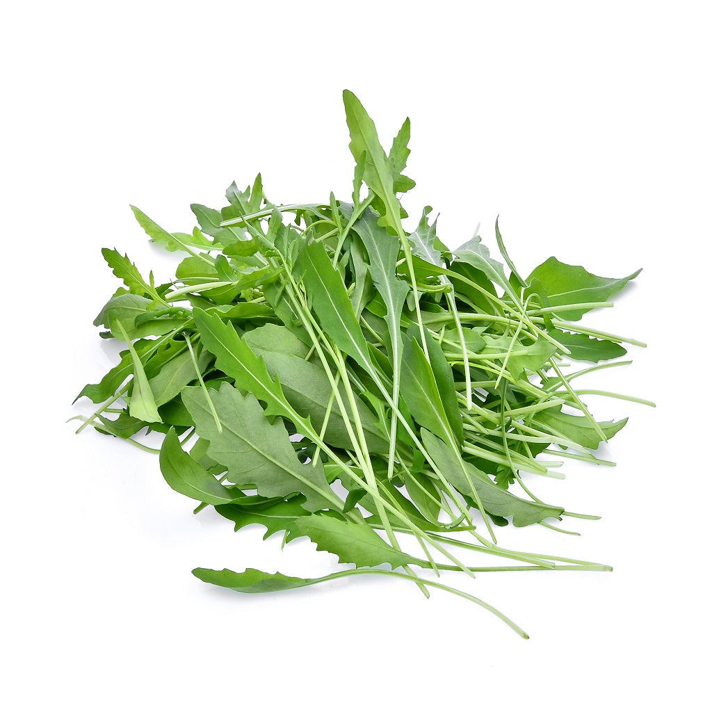 Wild Rocket annual microgreen crop – myBageecha
