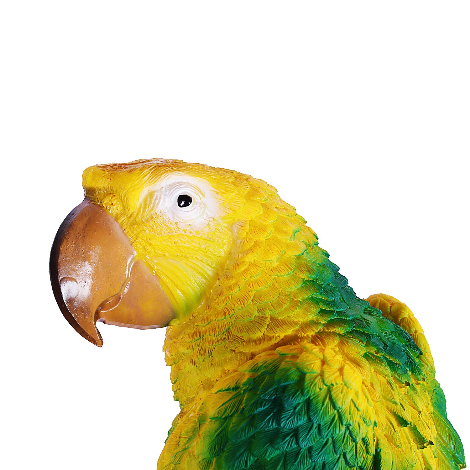 Blue Parrot Decor - myBageecha