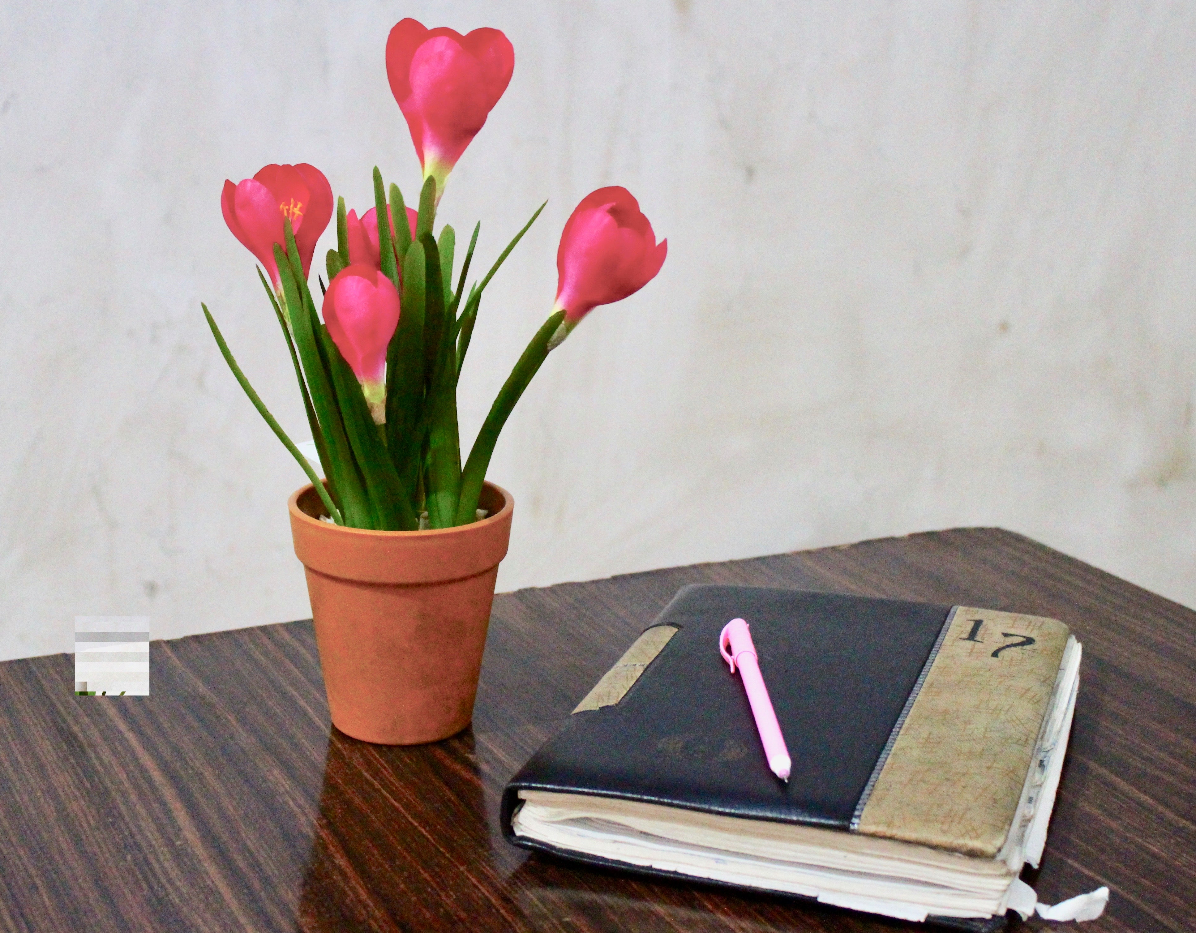 Saffron With Plastic Pot - myBageecha