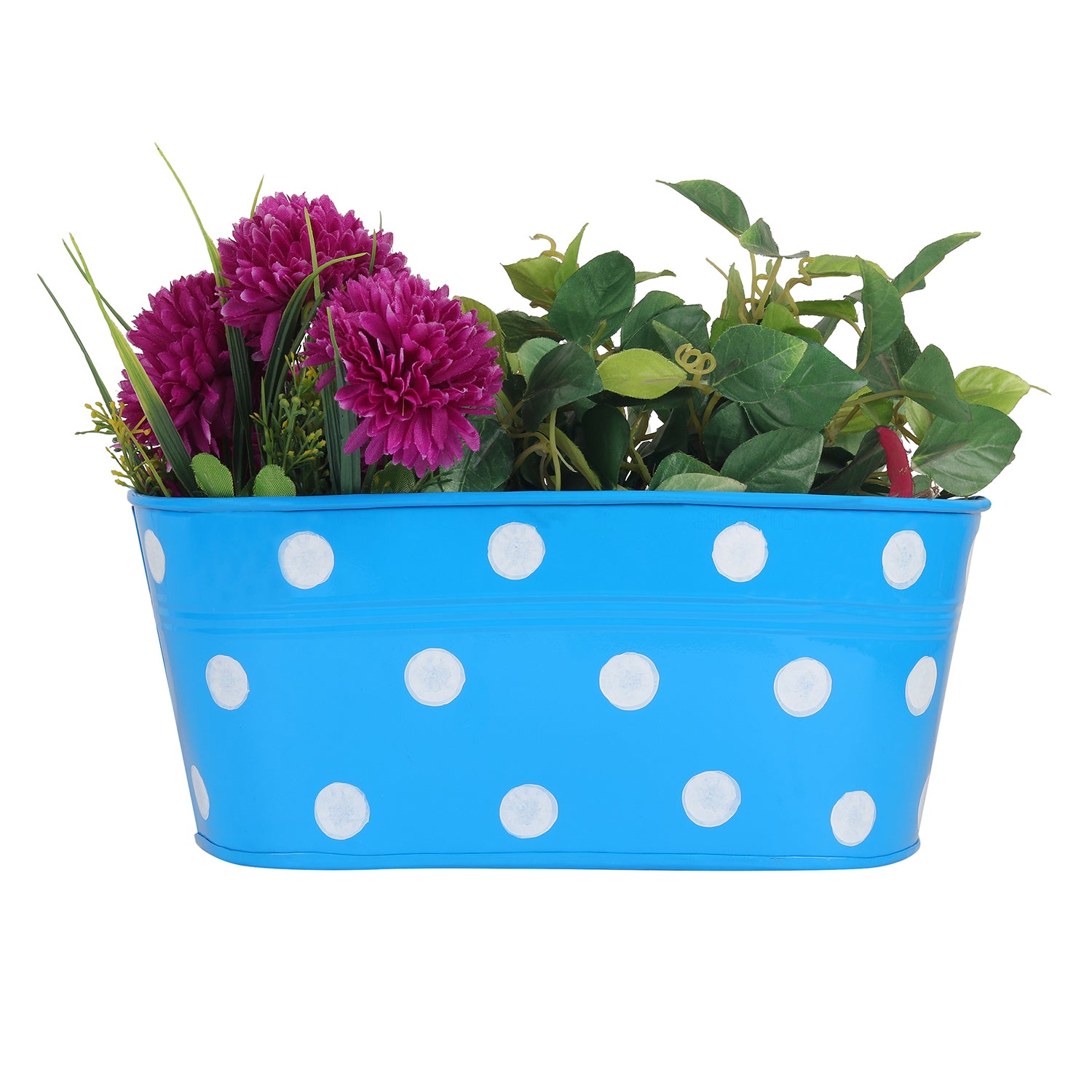 Polka Dot Railing planters(Set of 5) - myBageecha