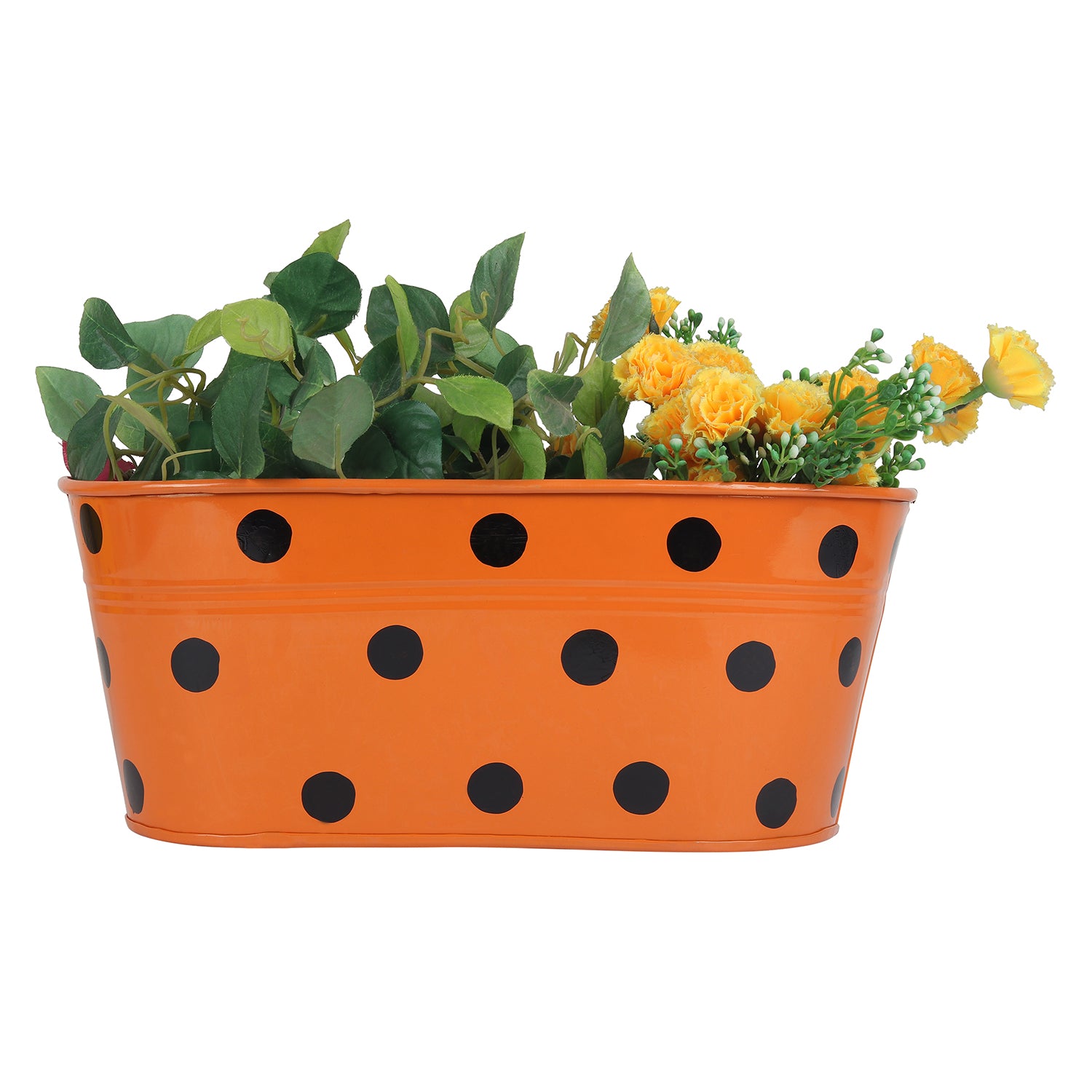 Polka Dot Railing planters(Set of 5) - myBageecha