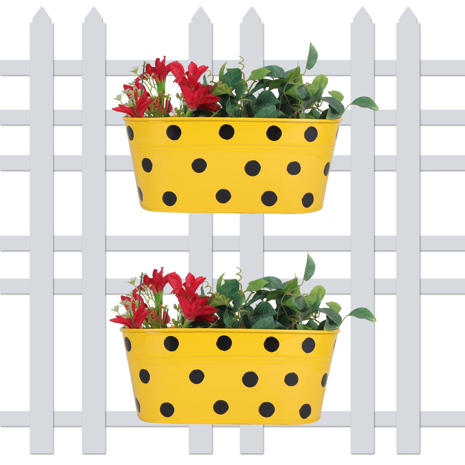 (Set of 2) Polka Dot Railing planters - myBageecha
