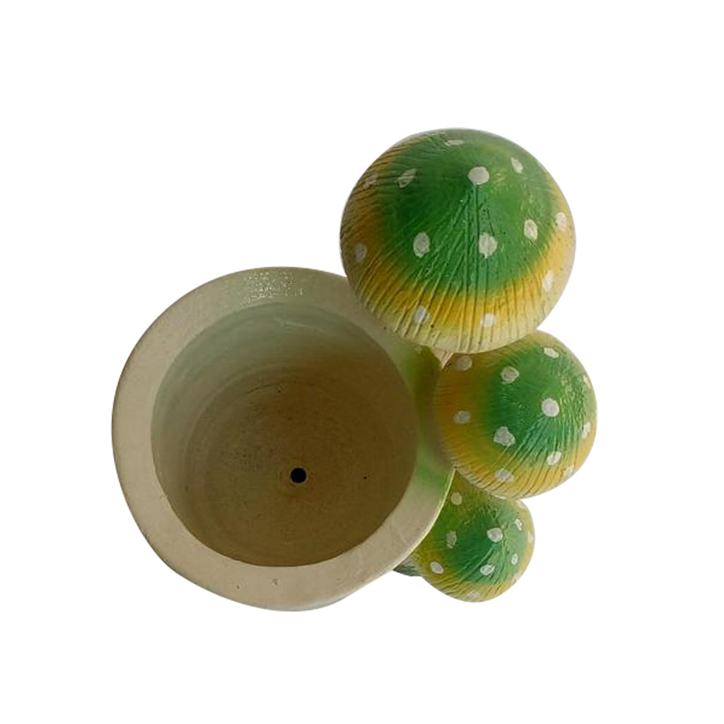 Planter with 3 Green Mushroom Planter - myBageecha
