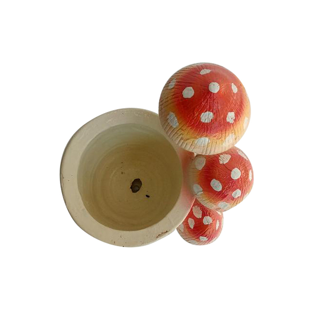 Planter with 3 Red Mushroom Planter - myBageecha