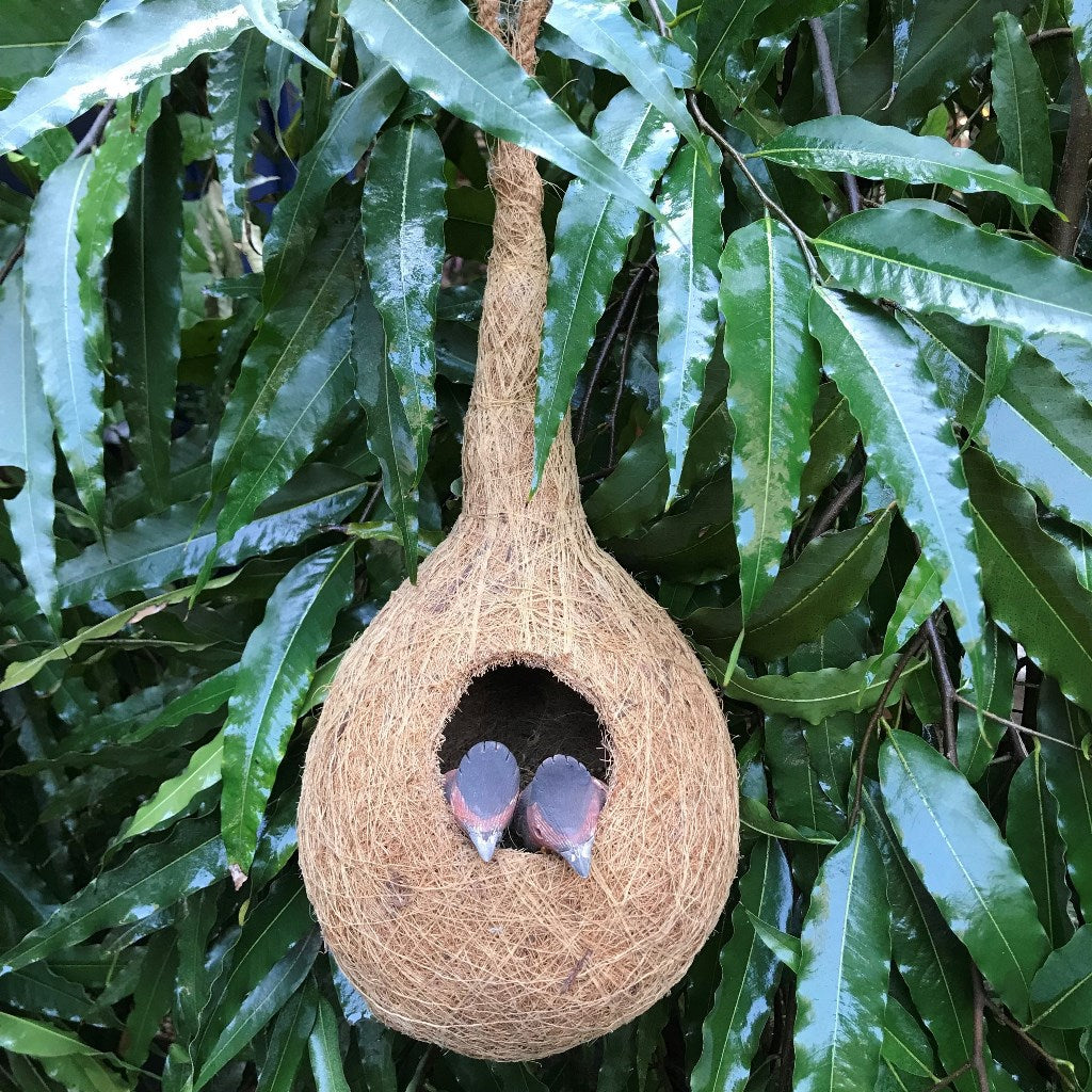 Weaver Finch Chidiya Ka Ghosla Planter - myBageecha