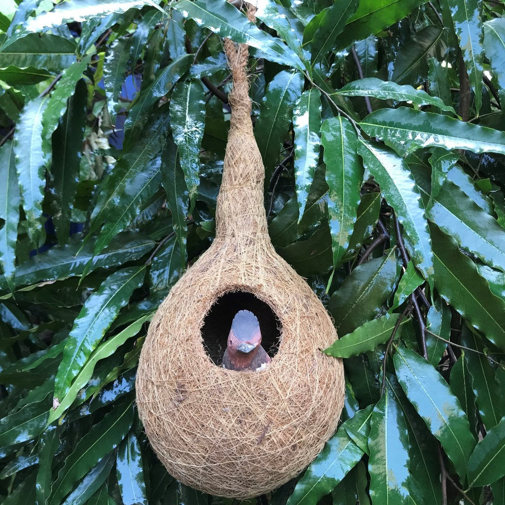 Weaver Finch Chidiya Ka Ghosla Planter - myBageecha