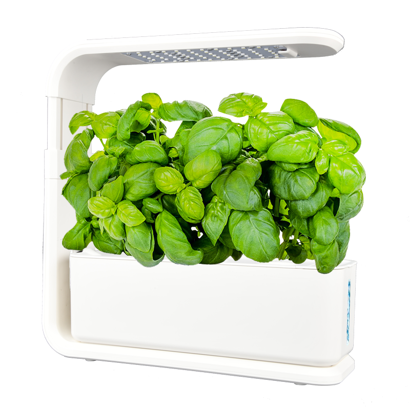 Smart Garden-Indoor Hydroponic Growing Kit -3 Pods - myBageecha