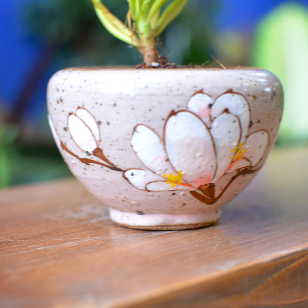 A Cold Winter Ceramic Pot - myBageecha