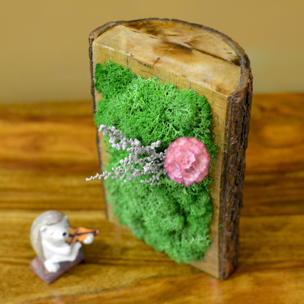 A Frosty Floret Tabletop Preserved Moss Frame in Wooden Bark - myBageecha