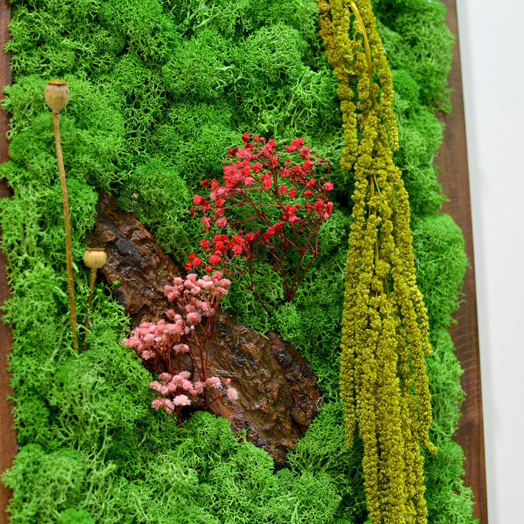 Color-rich preserved moss art for interiors