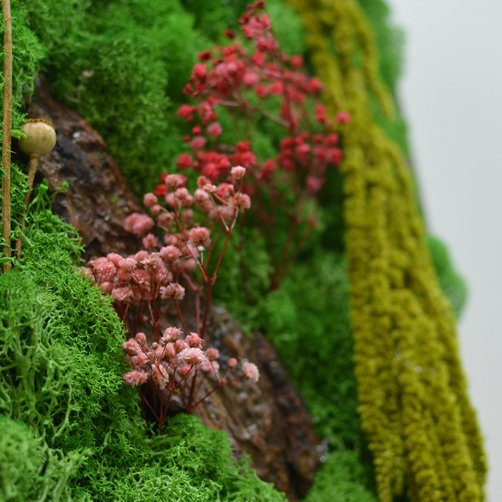 Vibrant moss wall art – eco-friendly décor