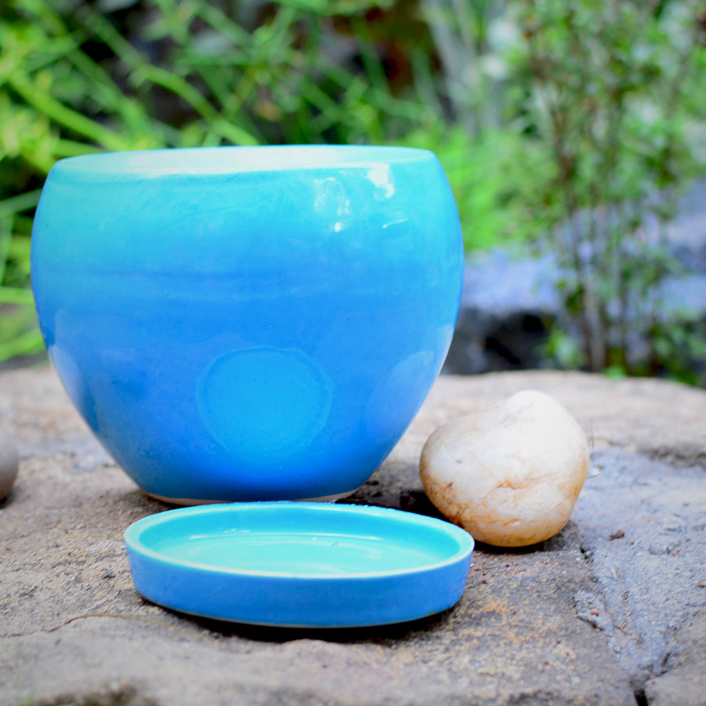 Pastel Apple Ceramic Pot With Tray - myBageecha