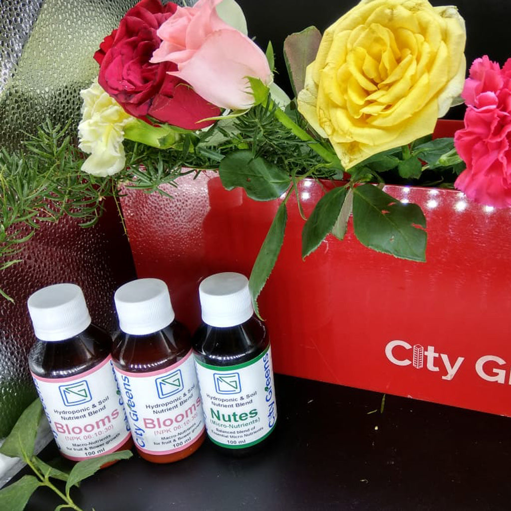 Nutrient Blend - Blooms Combo Pack - myBageecha