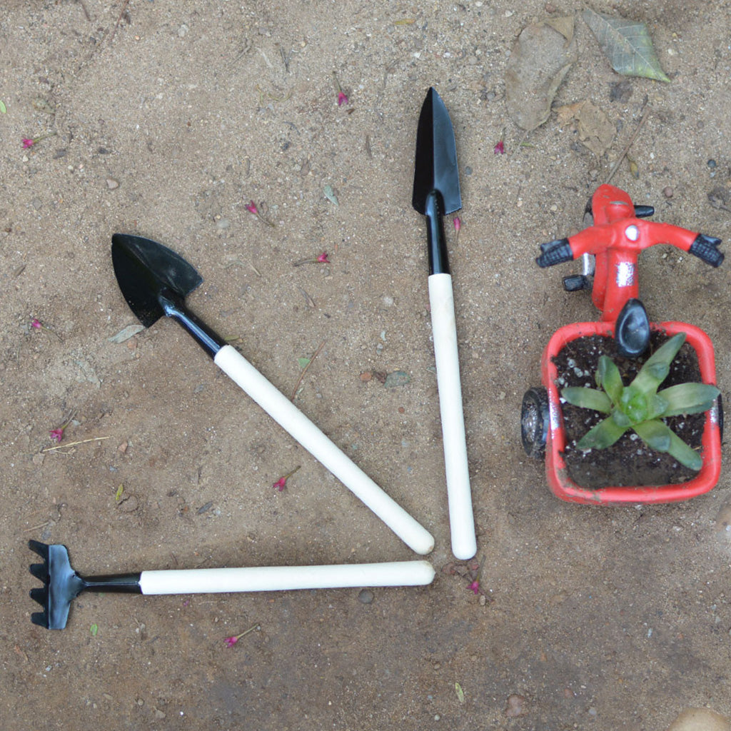 Bonsai tool set for trimming and pruning