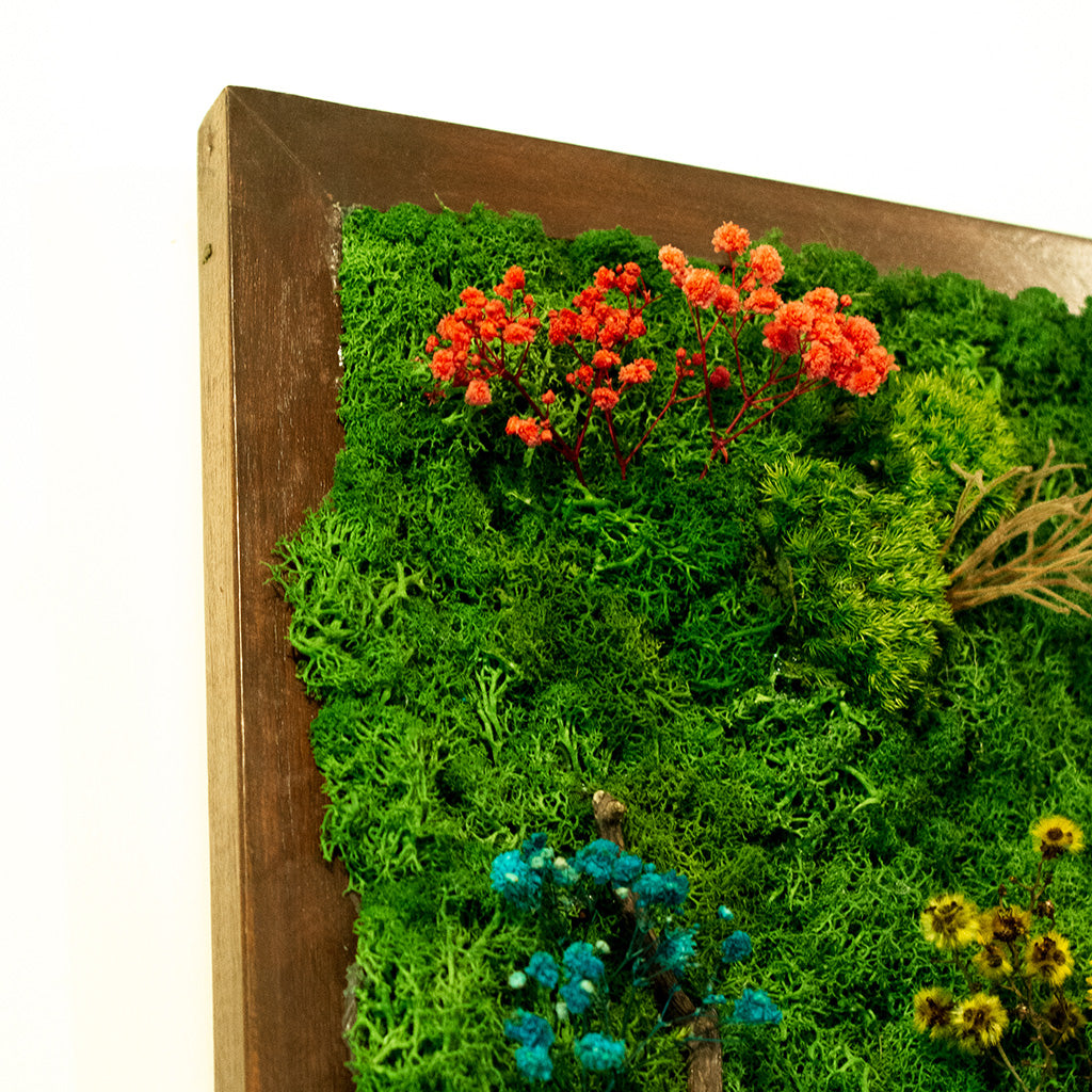 Bulbul's Call Preserved Moss Frame with Dark Wood - myBageecha